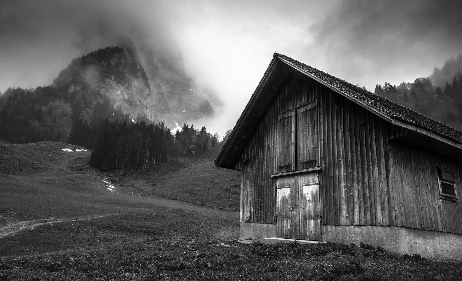 grayscale photo of wooden house in the forest